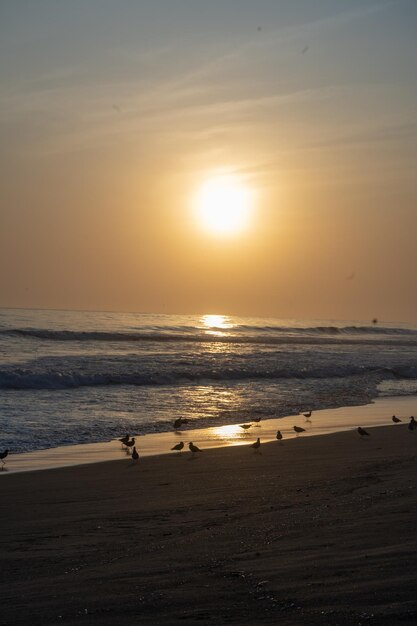 Fotoboek van de zonsondergang op het strand van Peru