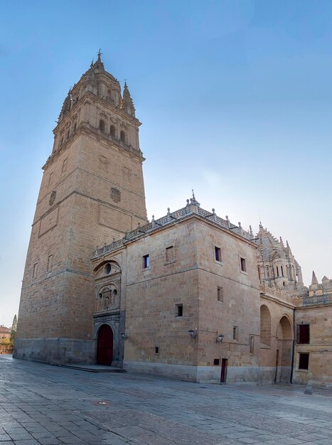 Fotodetail van een deel van de kathedraal van Salamanca in Spanje