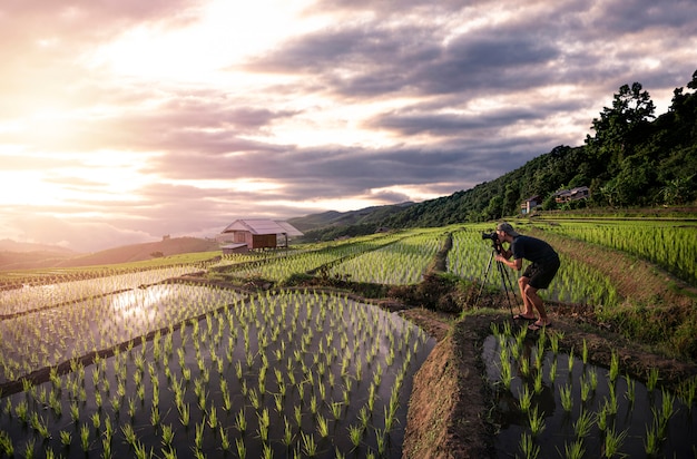 Fotograaf die foto op rijstveld neemt tijdens zonsondergang en schemeringhemel