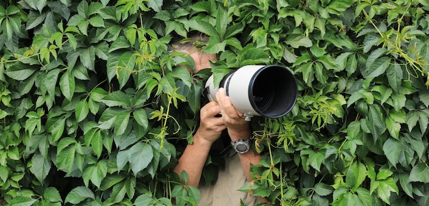 fotograaf verstopt in de bladeren