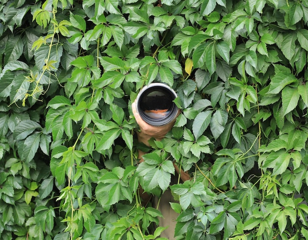 fotograaf verstopt in de bladeren