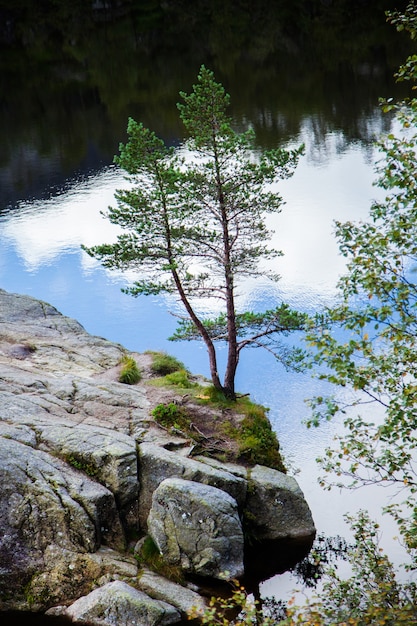 fotografie met landschappen en natuur in noorwegen