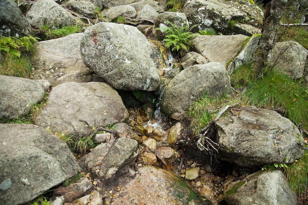 fotografie met landschappen en natuur in noorwegen