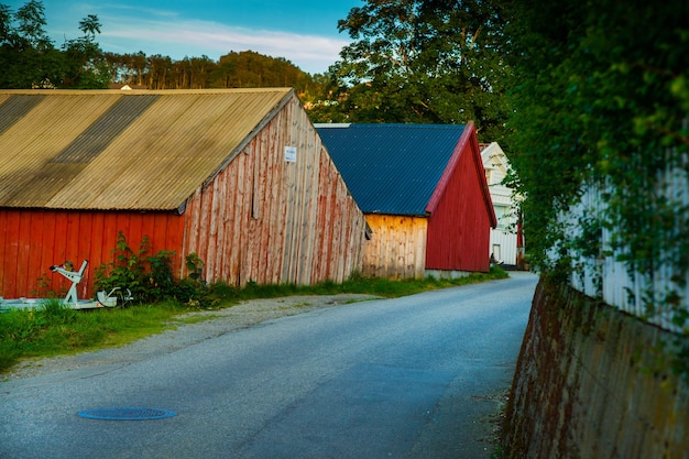 fotografie met landschappen en natuur in noorwegen