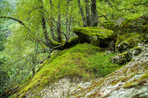 fotografie met landschappen en natuur in noorwegen