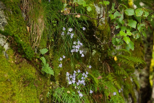 fotografie met landschappen en natuur in noorwegen