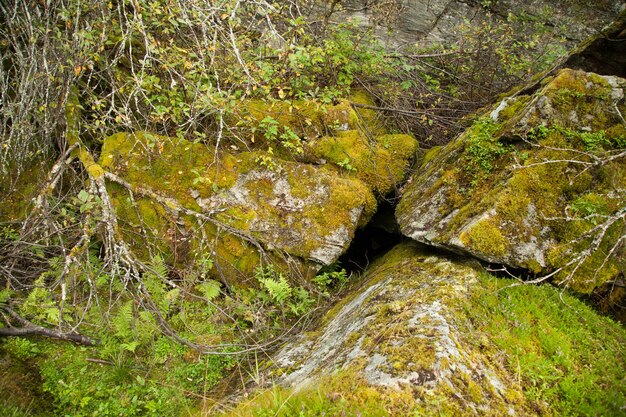 fotografie met landschappen en natuur in noorwegen