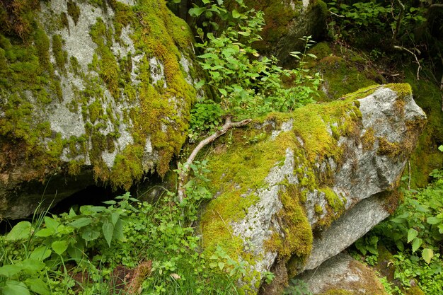 Foto fotografie met landschappen en natuur in noorwegen