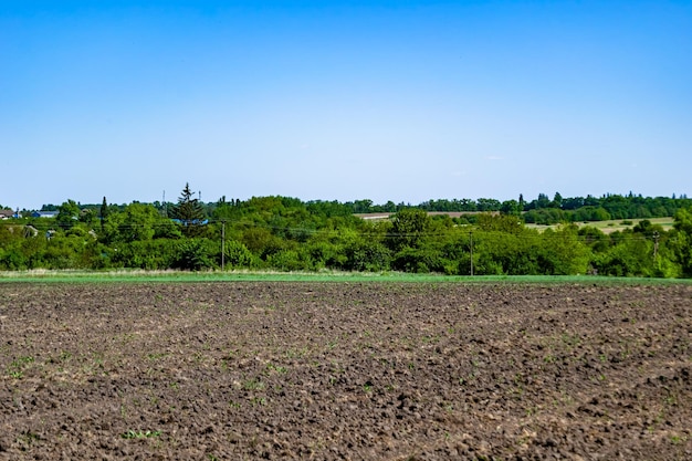 Fotografie op thema groot leeg boerderijveld voor biologische oogst foto bestaande uit groot leeg boerderijveld voor oogst op hemelachtergrond leeg boerderijveld voor oogst dit natuurlijke herfstseizoen