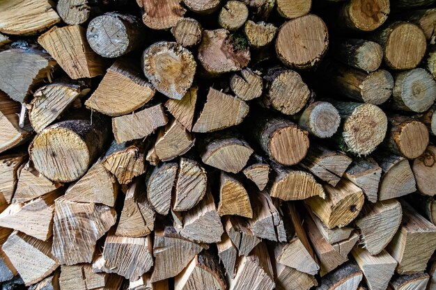 Fotografie op thema grote muur van gestapelde eiken boomstammen in scheuren foto bestaande uit oude eiken boomstammen op natuur achtergrond eiken boomstammen van getextureerde ronde jaarringen met strepen verschillende grootte