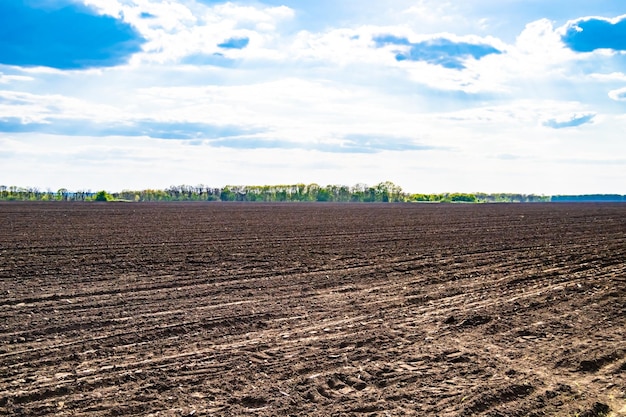 Fotografie over het thema grote lege boerderijveld voor biologische oogst