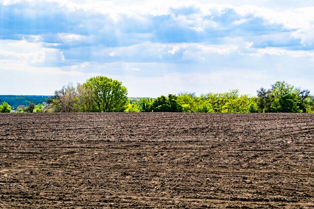 Fotografie over het thema grote lege boerderijveld voor biologische oogst