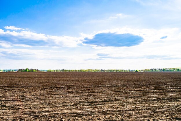 Fotografie over het thema grote lege boerderijveld voor biologische oogst