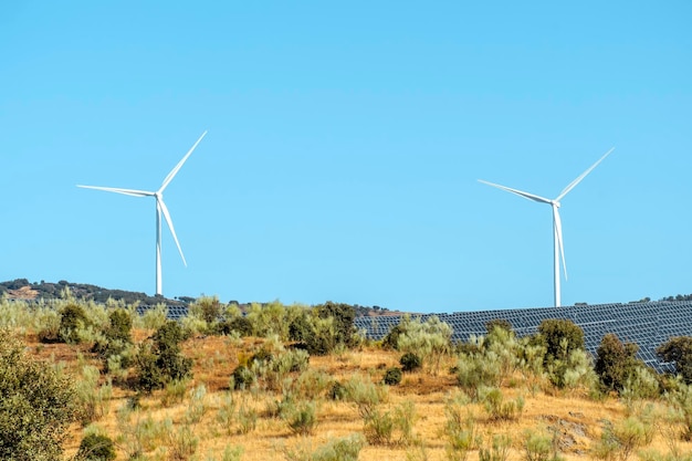 Fotovoltaïsche cel van het zonne-energiepaneel en de stroomgenerator van het windturbinelandbouwbedrijf in aardlandschap