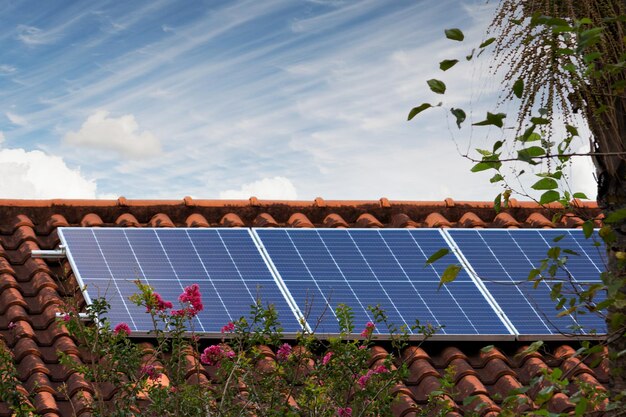 Fotovoltaïsche installatie in een huis met bladeren en bloemen rond bij zonsondergang