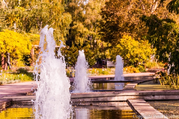 Fountain against trees