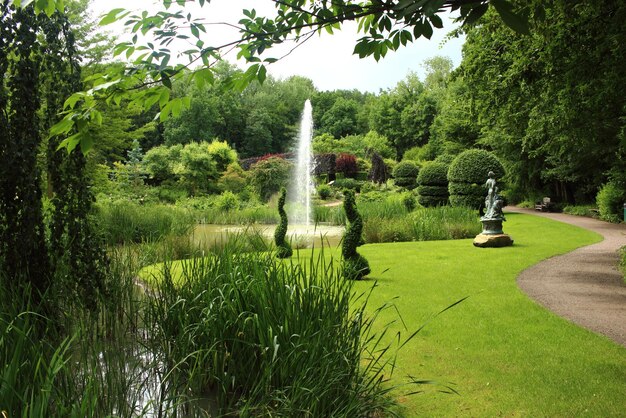 公園の植物の中の噴水