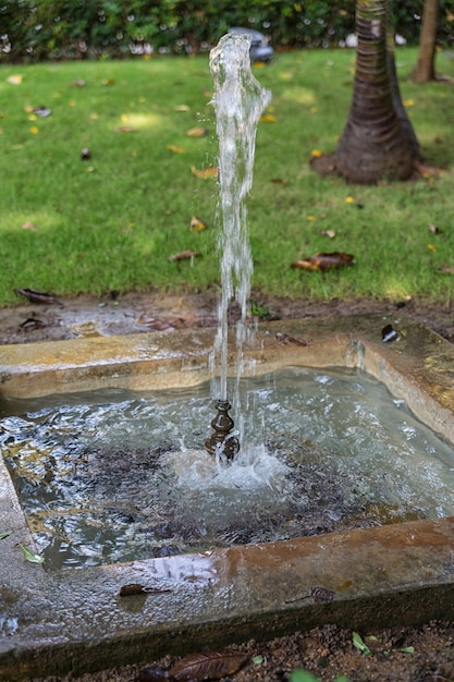 Fountain detail