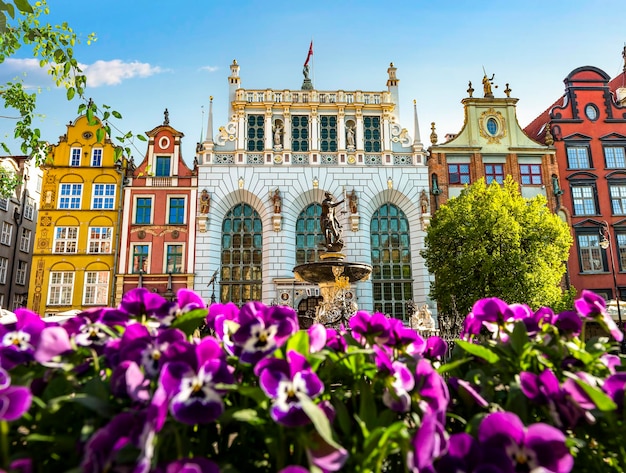 Fountain and flowers