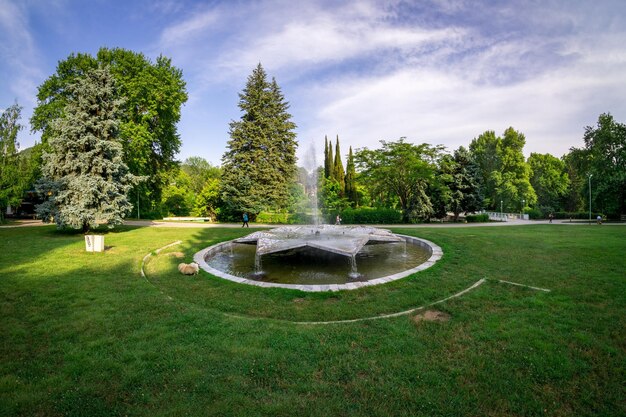 空に照らされた公園の噴水