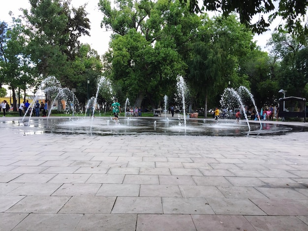 Fountain in park