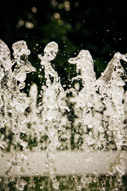 Foto fontana nel parco