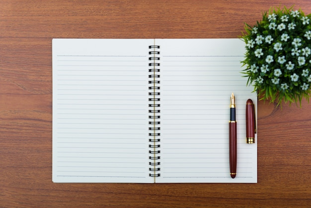 Stilografica o penna a inchiostro con carta per notebook e piccolo albero decorativo
