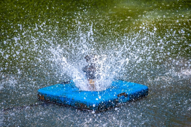 Foto fontana nello stagno una fontana galleggiante in uno stagno schizza sparpagliandosi in diverse direzioni dietro w