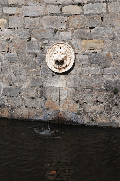 La fontana nel parco del palazzo di potsdam in germania