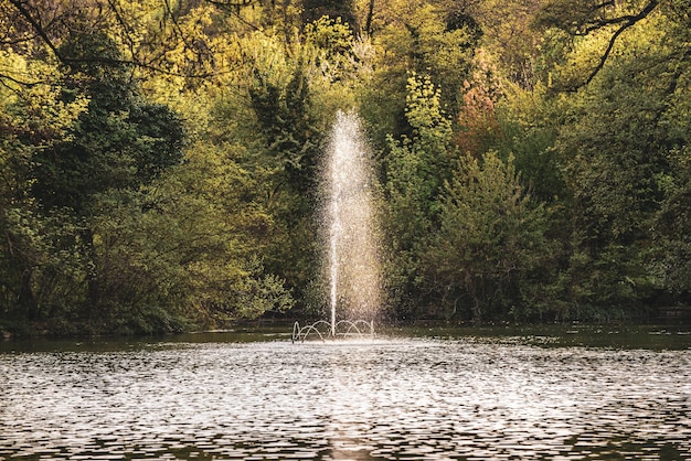 A fountain in a public park