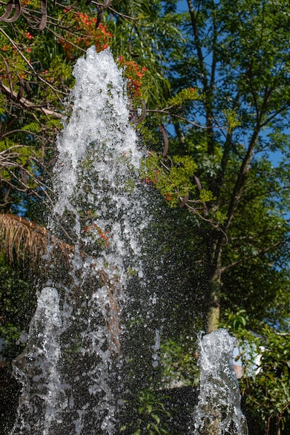 Fountain, splash of water from a fountain in sunlight, selective focus.