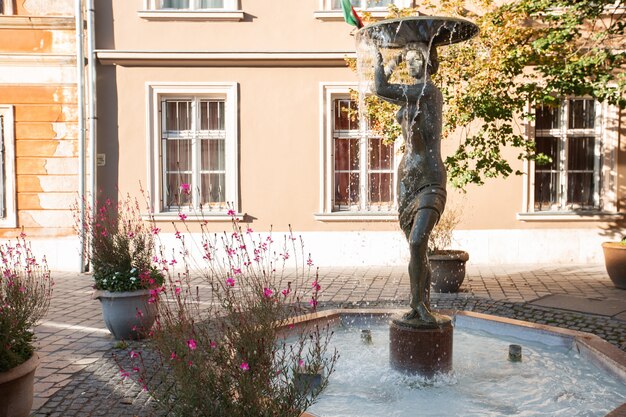 Fountain on Tarnok Utca in the old town castle district of Budapest, Hungary