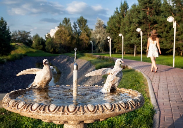 Fountain with doves in the park