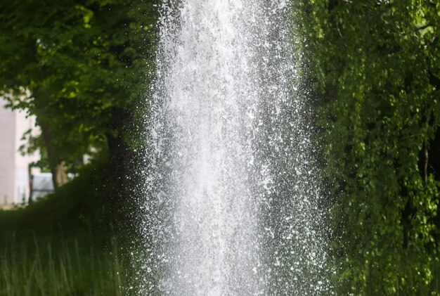 Foto fontana con acqua che scorre in un parco estivo