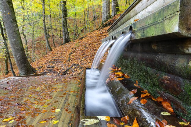 Fountain in Yedigoller National Park Bolu Turkey