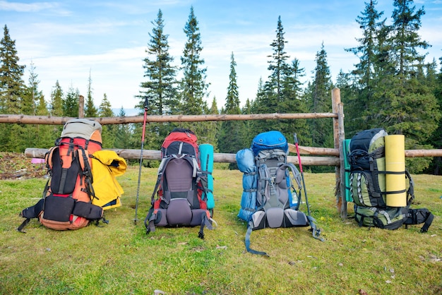 Four backpacks and hiking poles standing near fence and green forest