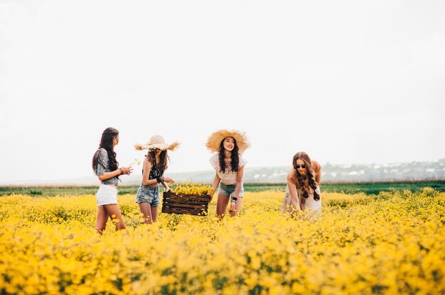 four beautiful hippie girl in a field of yellow flowers