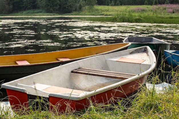 Четыре лодки разных цветов привязаны к берегу реки