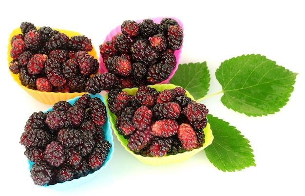 Photo four bright silicone cutters with ripe mulberry isolated on white