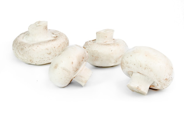 Four champignons isolated.