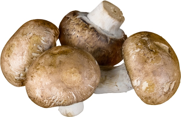 Four Crimini Mushrooms - Isolated