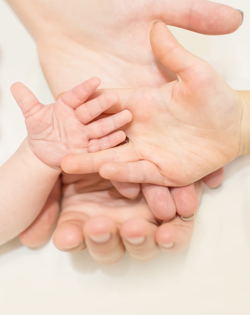 Four family hand palms at white isolated background, mother father and two kids