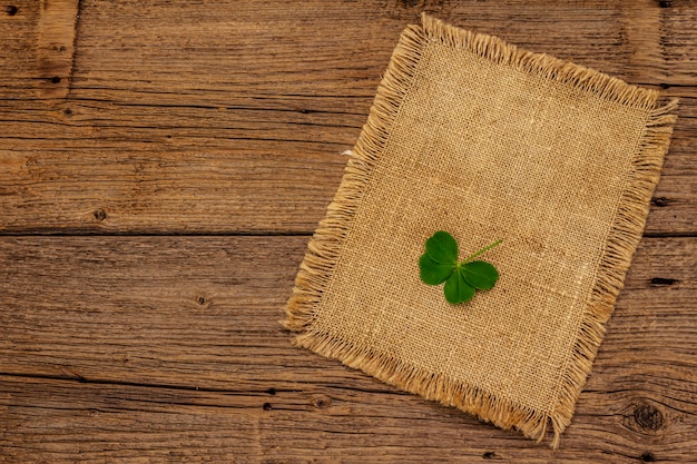 Quadrifoglio, pianta fresca su tela di sacco. simbolo di buona fortuna, concetto di san patrizio