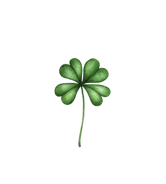 Photo four leaf clover green watercolor leave isolated on white background patricks day design element