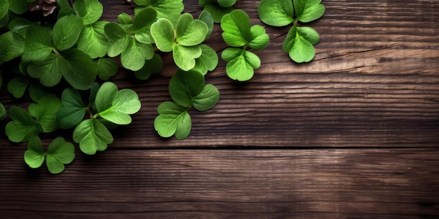 four leaf clover over table