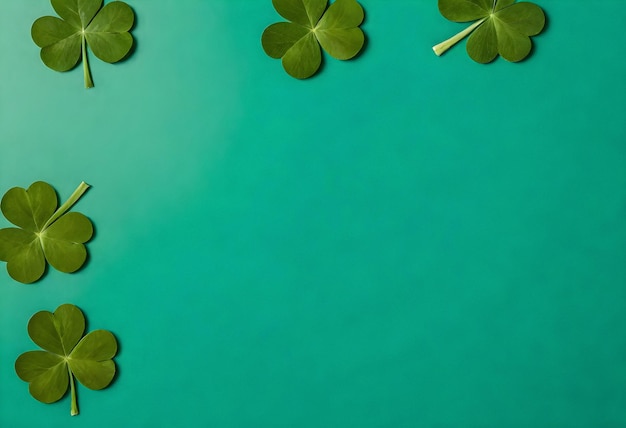 four leaf clover on a turquoise background