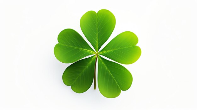 Photo a four leaf clover with a white background