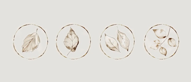 four oval frames with leaves on them on a white background