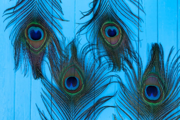青い木製の背景に4つの孔雀の羽。