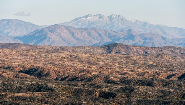 写真 ソノラ砂漠の高層の4つの山頂の山脈